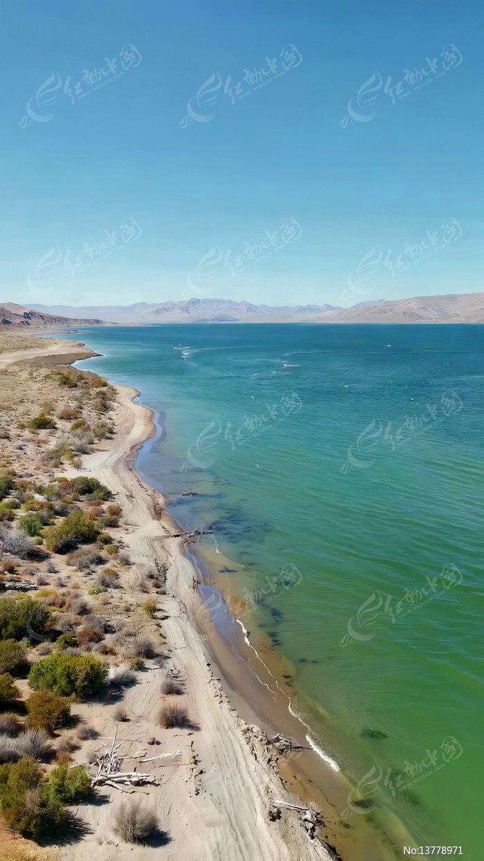 ����������Ȼ��⺽��