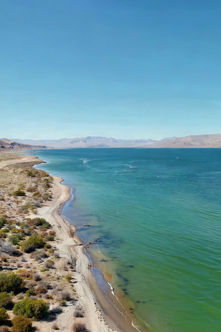 ����������Ȼ��⺽��