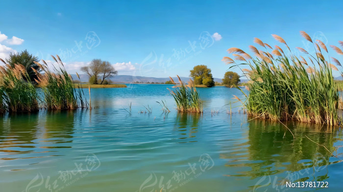 ����«έ��Ȼ���