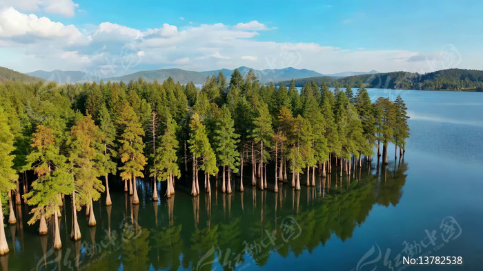 ����ɭ����Ȼ���ȫ��