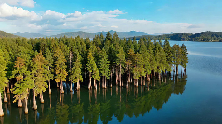 湖泊森林自然风光全景 湖泊森林自然风光全景