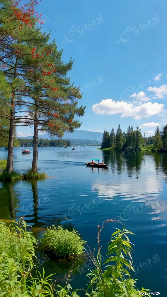 ����ɭ����Ȼ����ز�