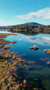 ����ɭ����Ȼ����ز�