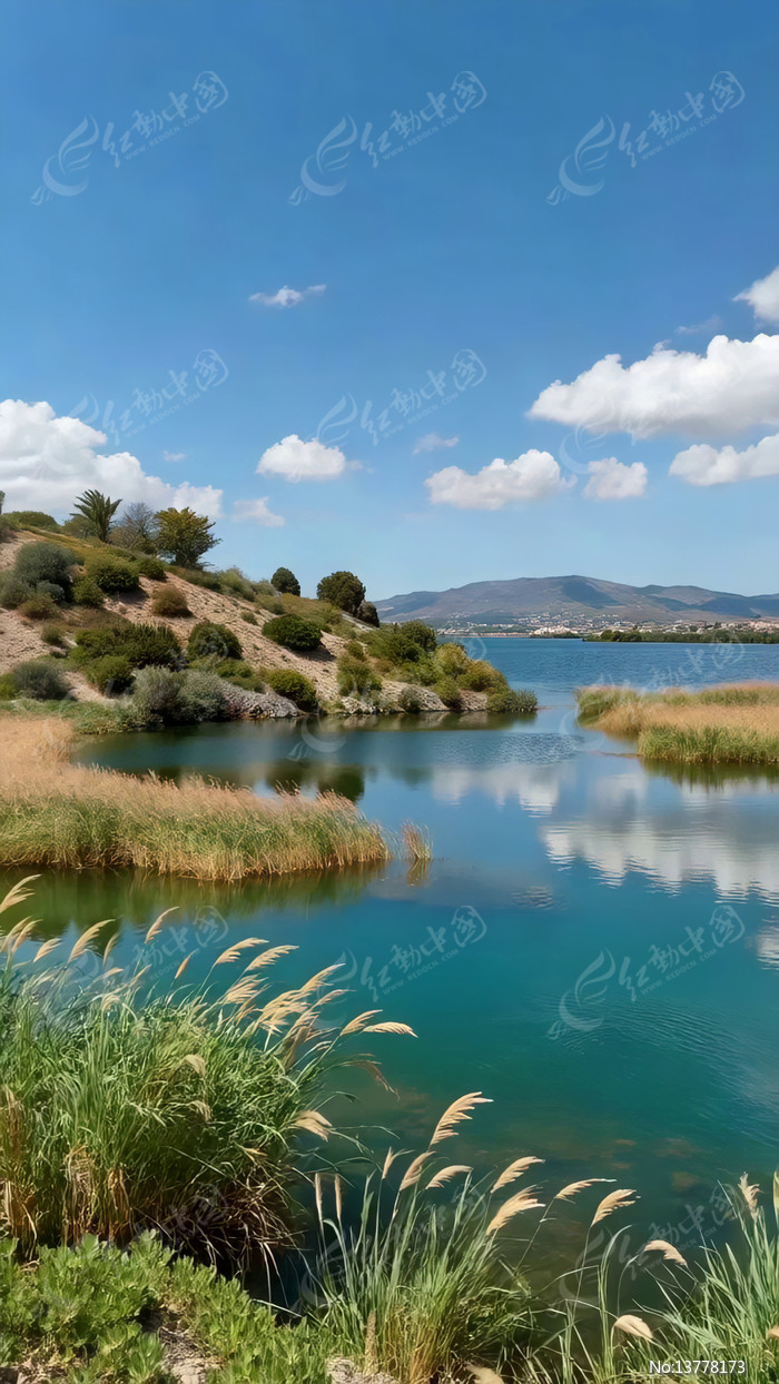 ������Ȼ���