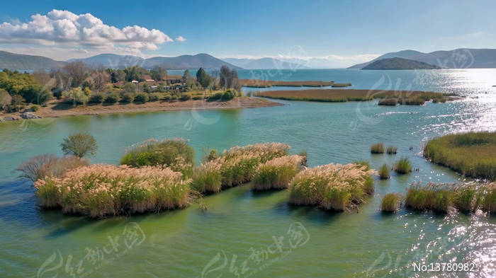 ������Ȼ���ȫ��