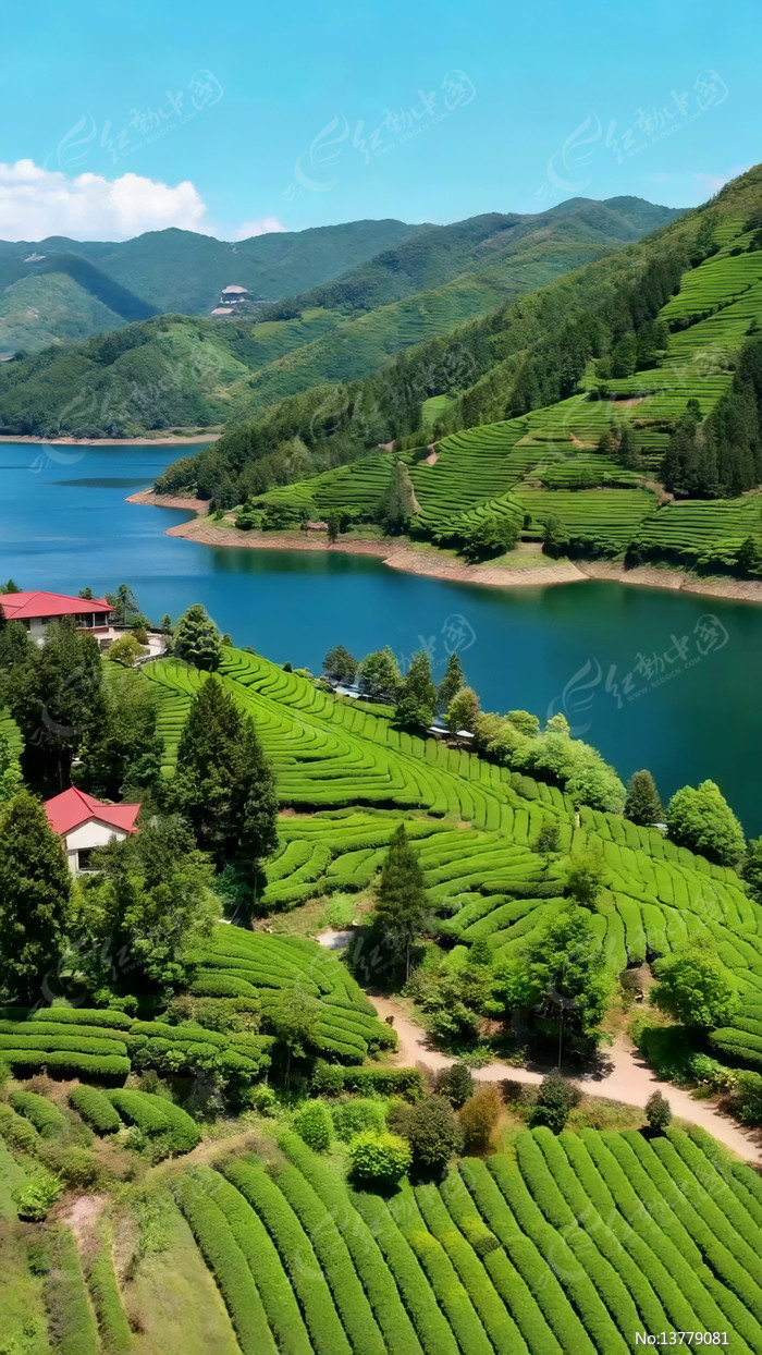 ����ɽɫ�е������԰�羰