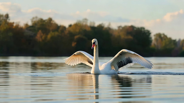 ���������ͷ��ʳ����