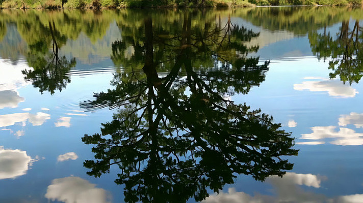 ������ľ���Ƶ�Ӱ����