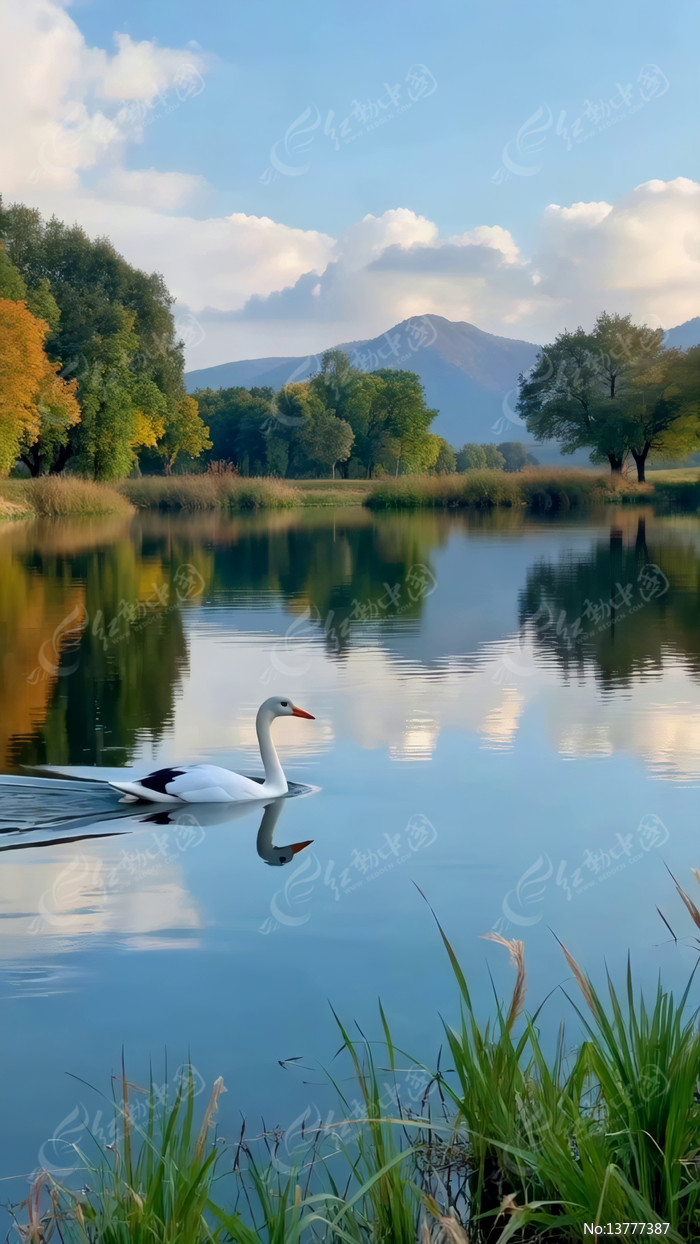 ���������߮��Ȼ���