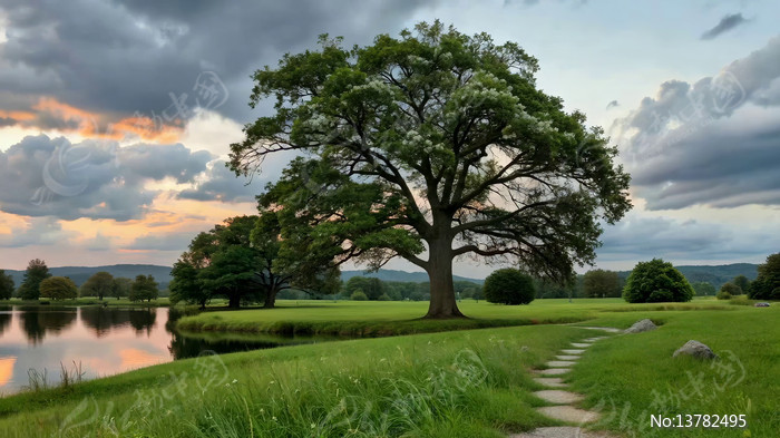 ���ϲݵش�����Ȼ���