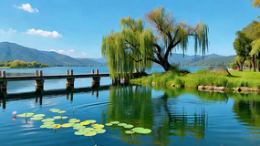 ���ϴ���ľ����Ȼ���