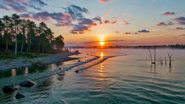 ����������Ȼ���