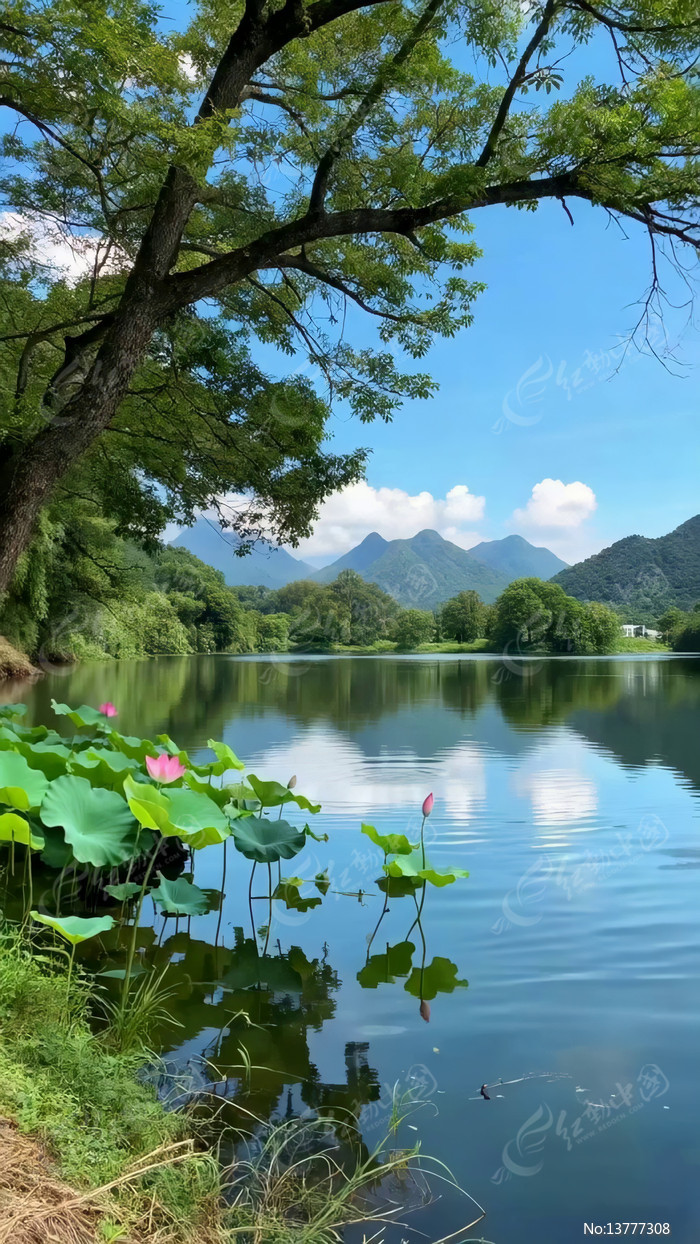 ����ɽ����Ȼ���