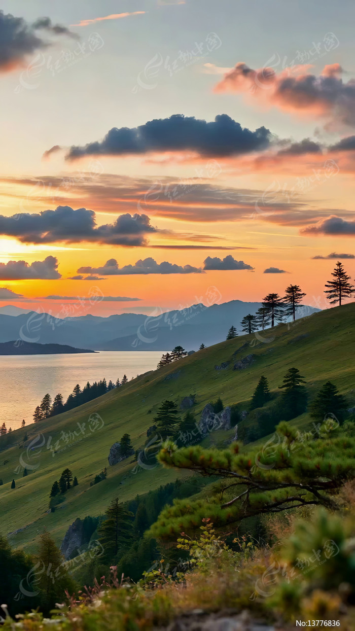 ����ɽ��������Ȼ���