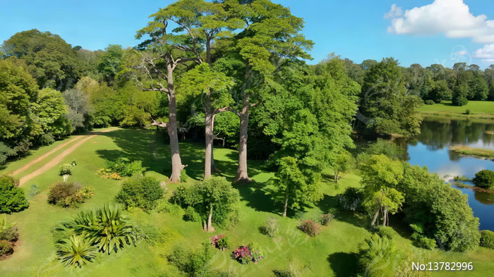 ����������ֲ��Ȼ���