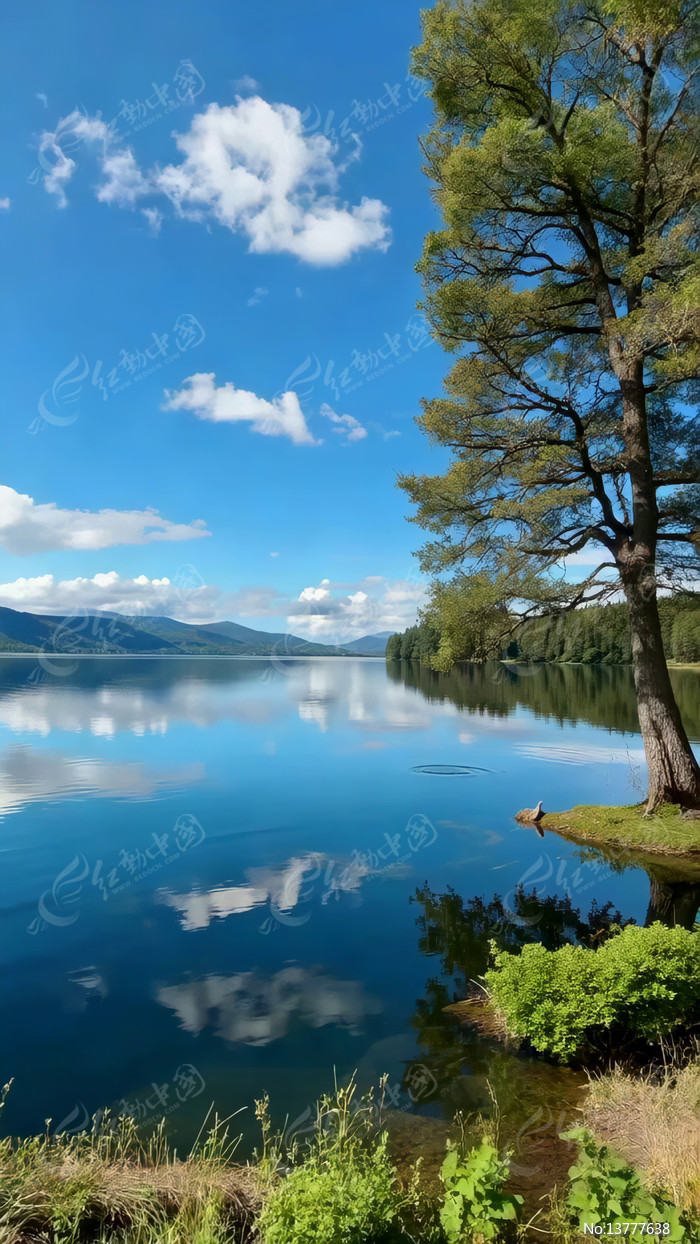 ������ľ���������Ȼ���