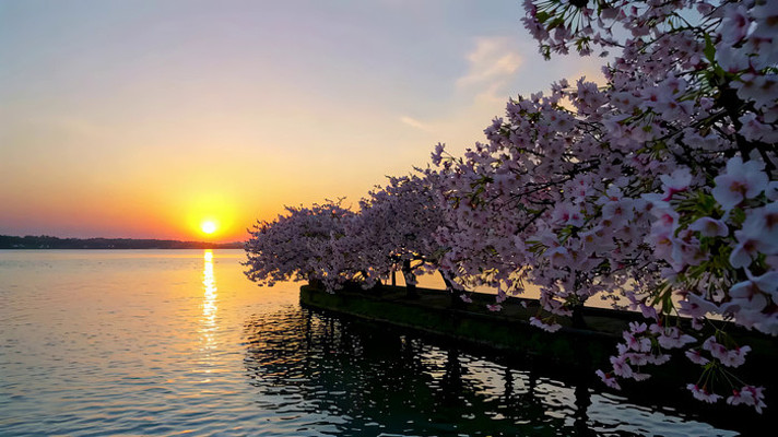 ����ӣ��Ϧ������