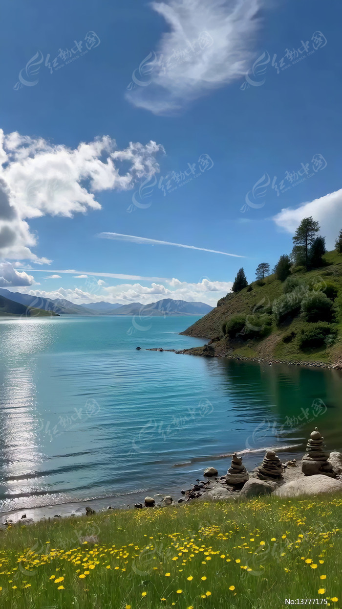 ������Ȼ���