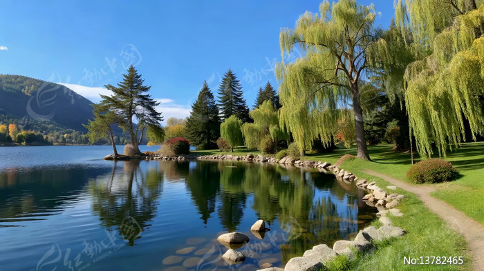 ������Ȼ���