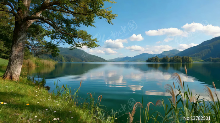 ������Ȼ�������