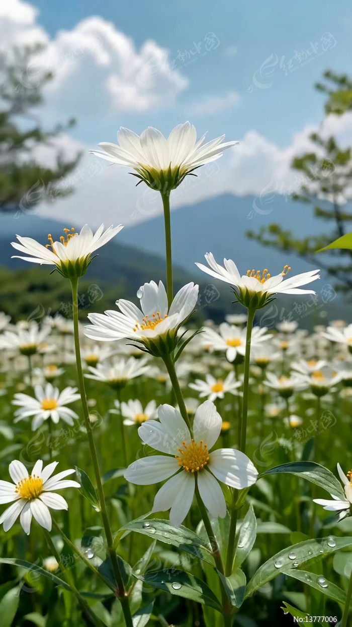 �����ɫ������Ȼ����