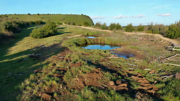 �����ԭ����ľ��Ȼ����