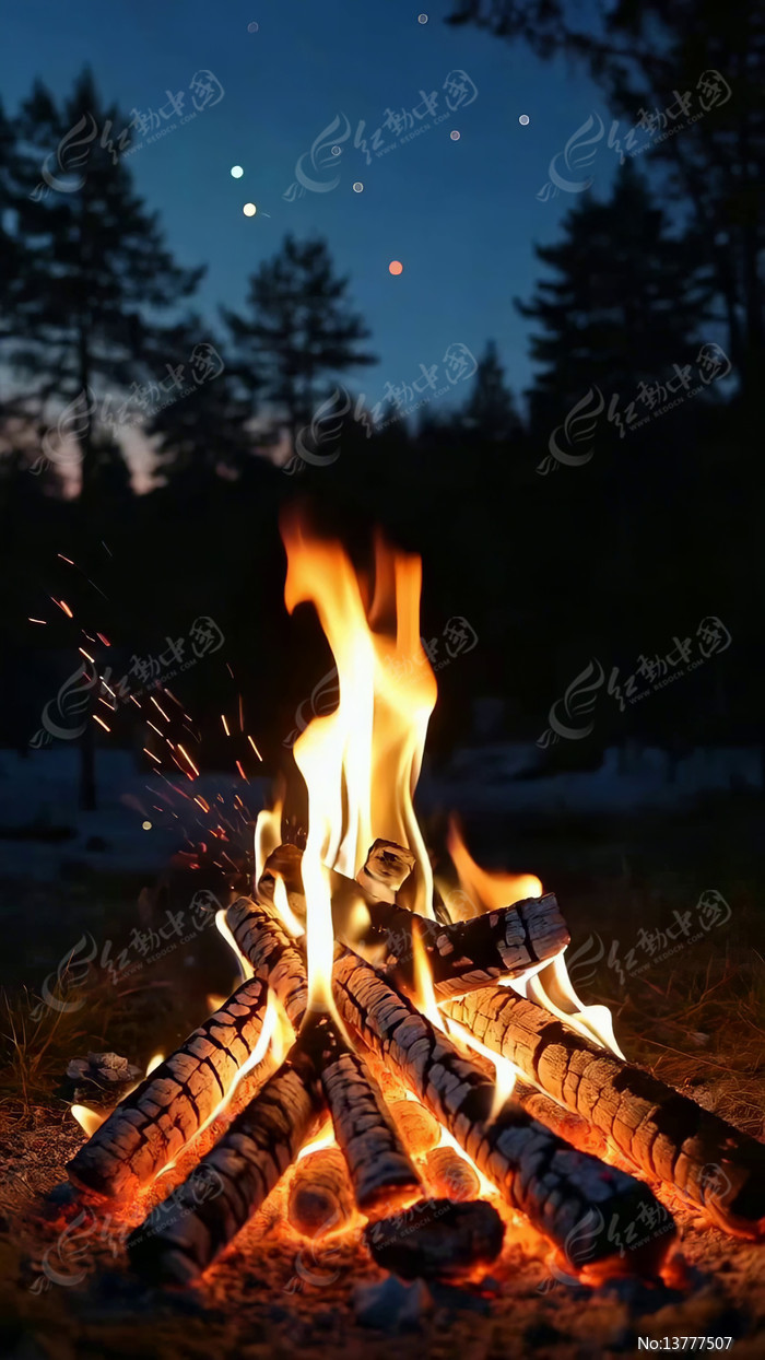 ��������ȼ�ճ���