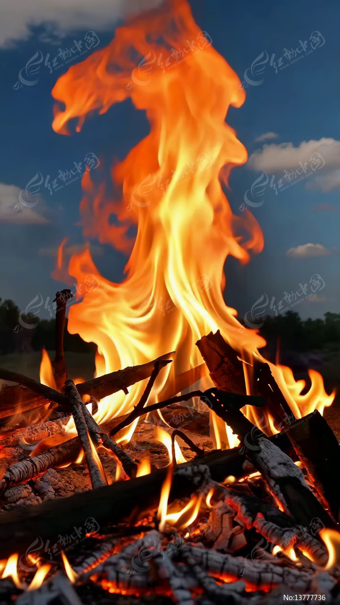 ��������ȼ�վ���