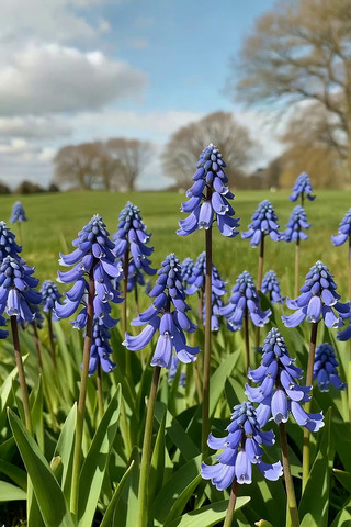 ��������ɫ������д