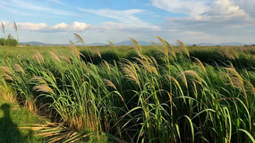 ����«έ��Ȼ���