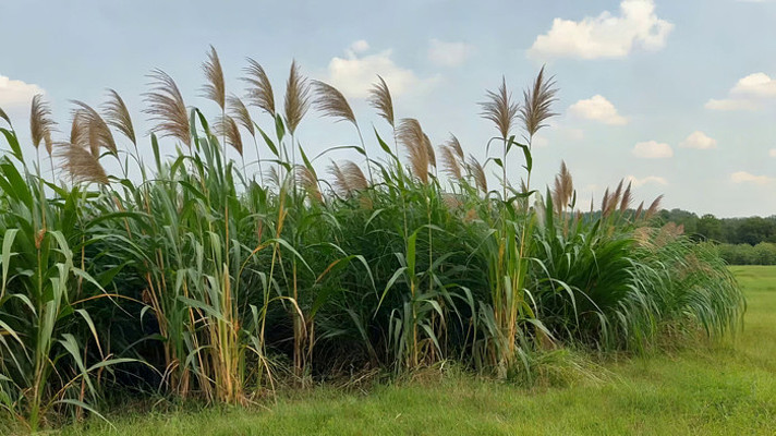 ����«έ��Ȼ����