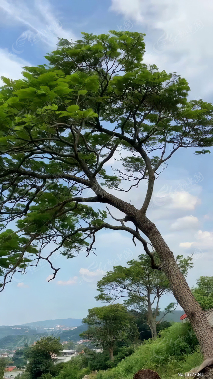 ������б��ľ��Ȼ����