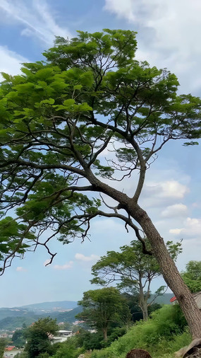 ������б��ľ��Ȼ����