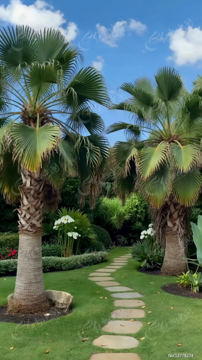 �����������԰С������