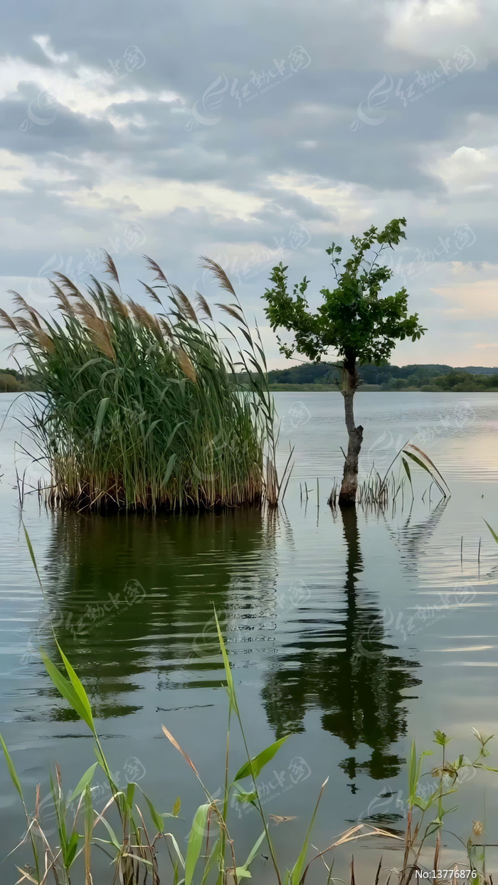 ����С����«έ��Ȼ����