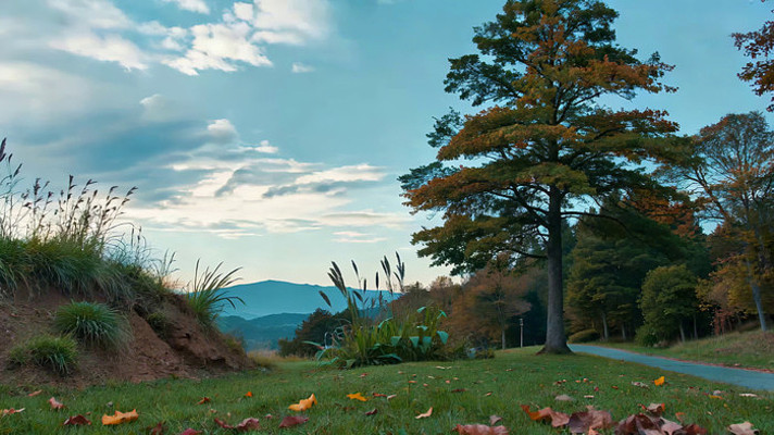 �����＾��Ȼ���