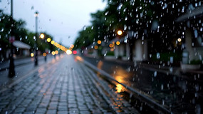 �ֵ����о���