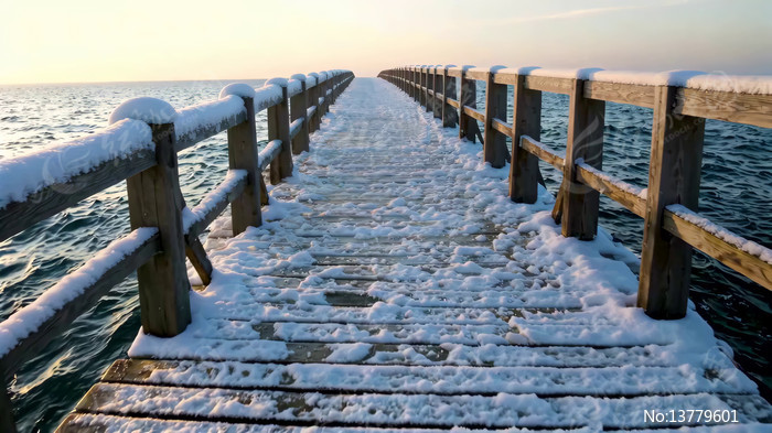 ��ѩ���ǵĺ���ľջ��