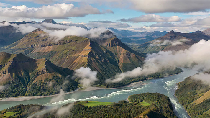 ���и��ɽ��������Ȼ���