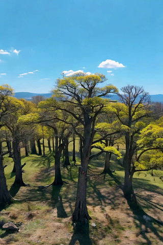 ���и��������Ȼ���