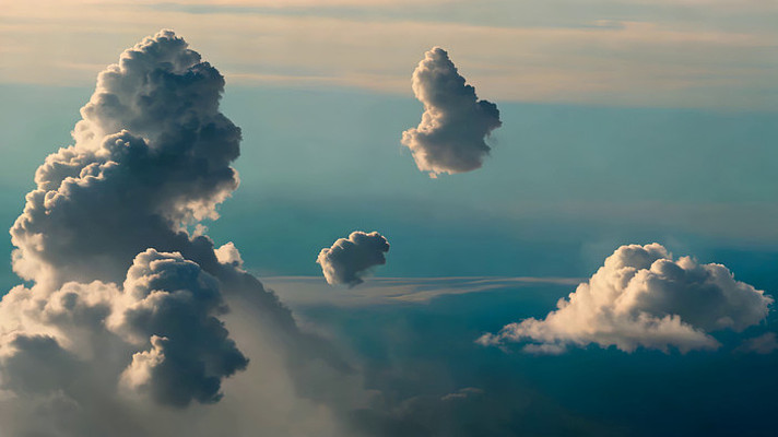 ����Ư������̬�����ƶ�