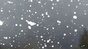 ����Ʈ���ѩ���ز�