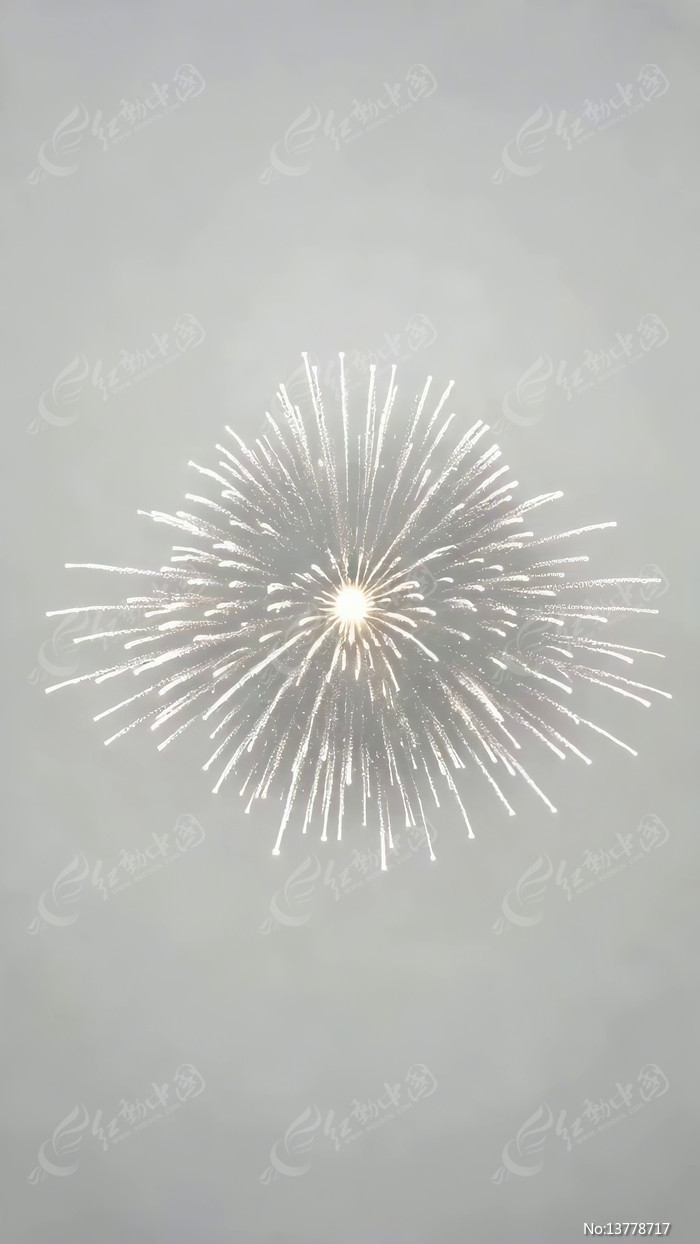 �������ŵİ�ɫ�̻�