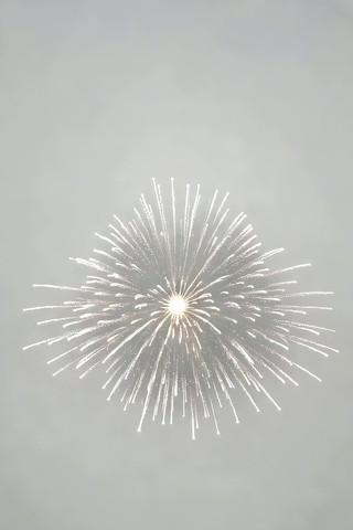 �������ŵİ�ɫ�̻�