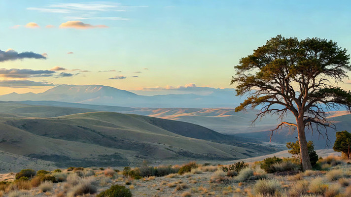 ��Ұ������Ȼ��⾰ɫ