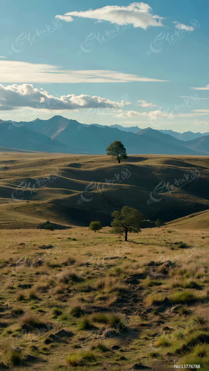 ��Ұɽ���������Ȼ���