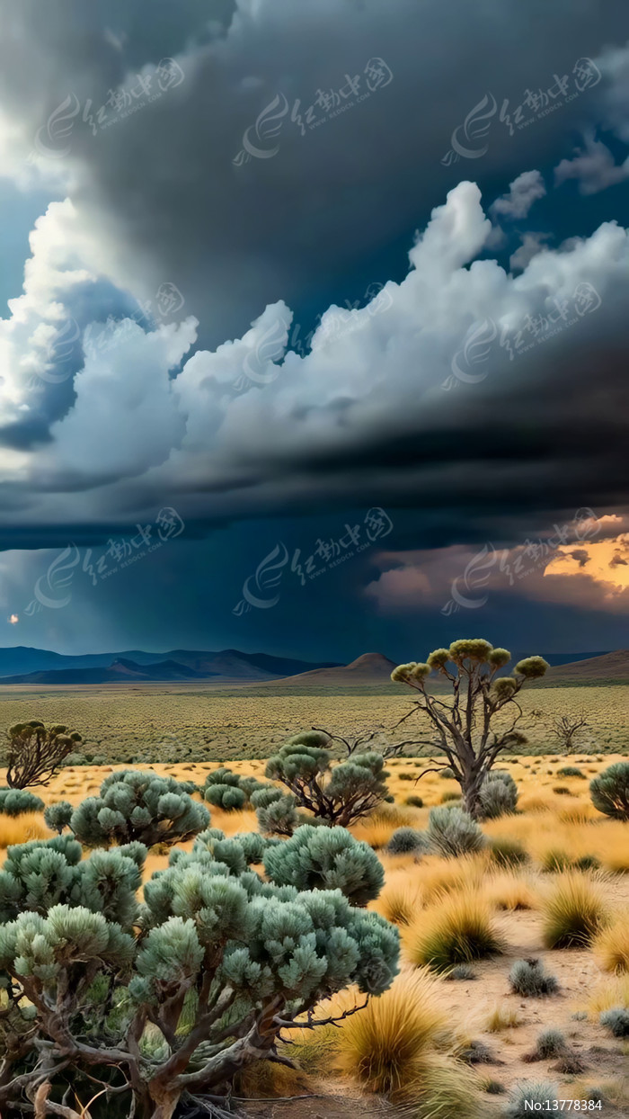 ��Ұ�����µ���Ȼ���