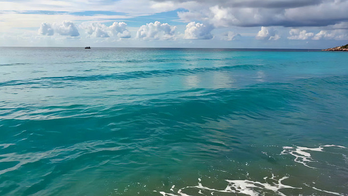 ��ɫ����������վ���