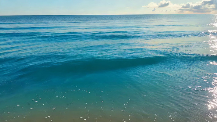 ��ɫ������ʵ���ز�