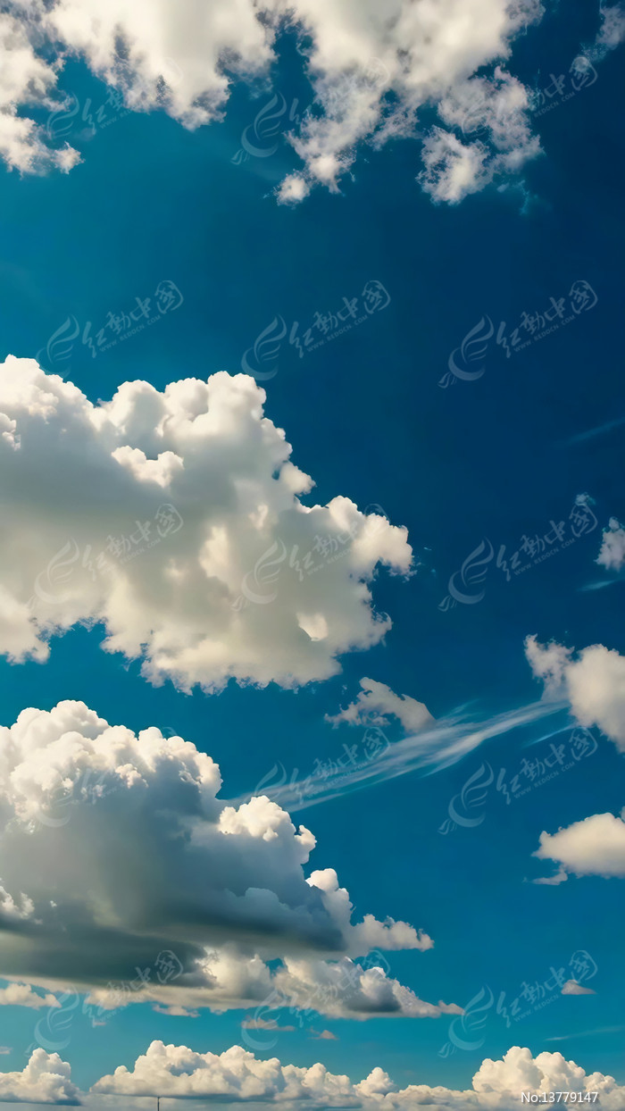 �������������վ�ɫ